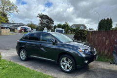 buy any car